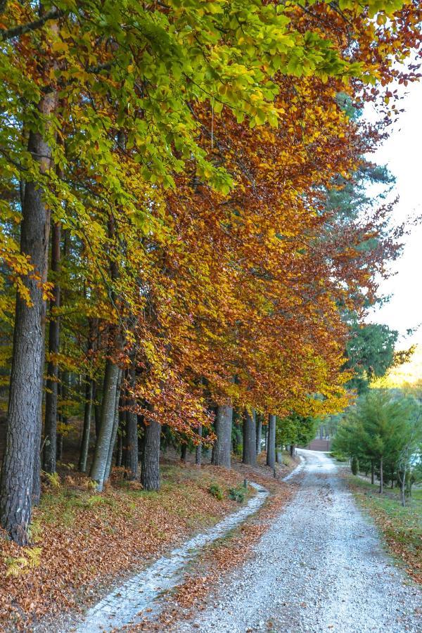 Boticas Parque Natur Houses 외부 사진