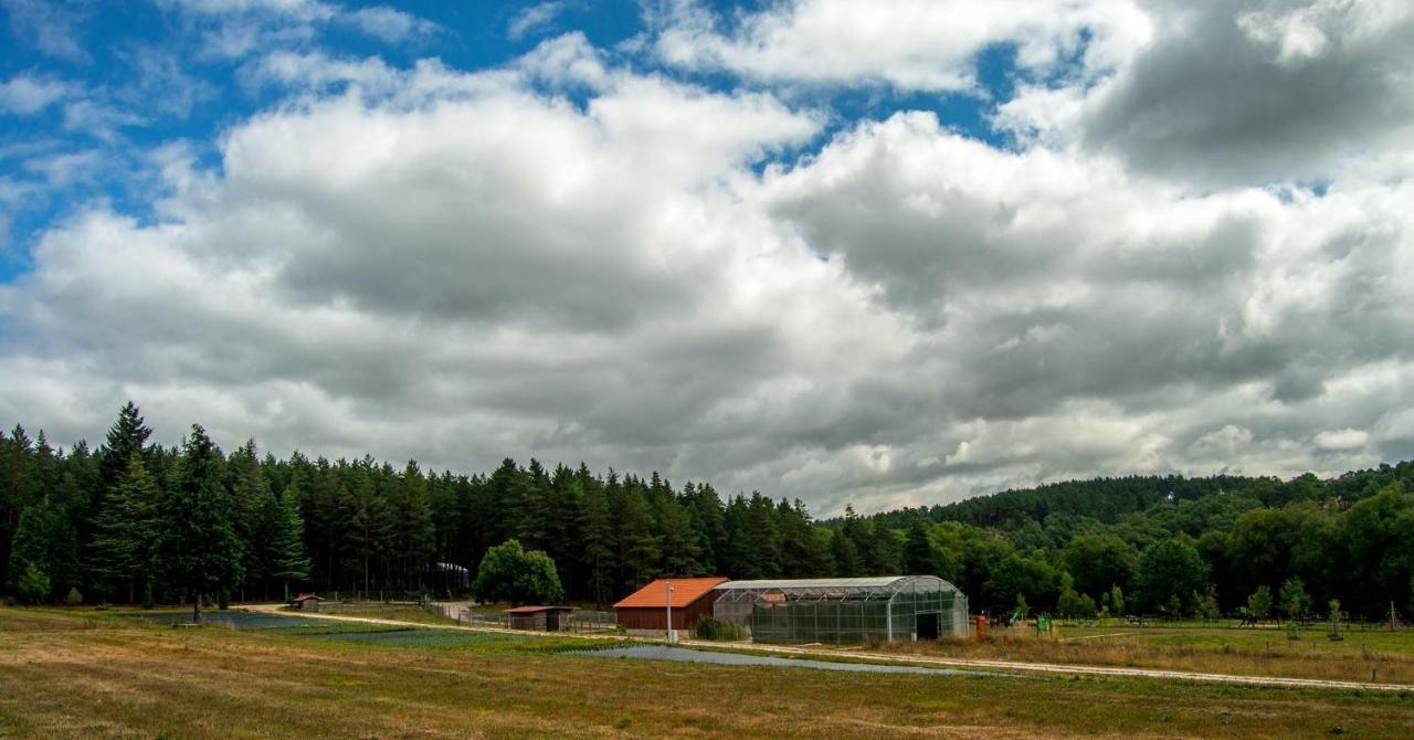 Boticas Parque Natur Houses 외부 사진