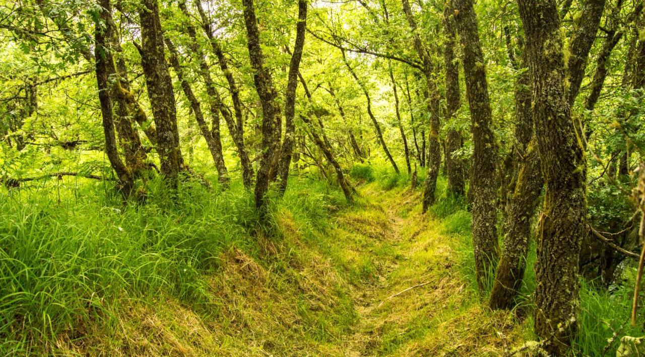 Boticas Parque Natur Houses 외부 사진