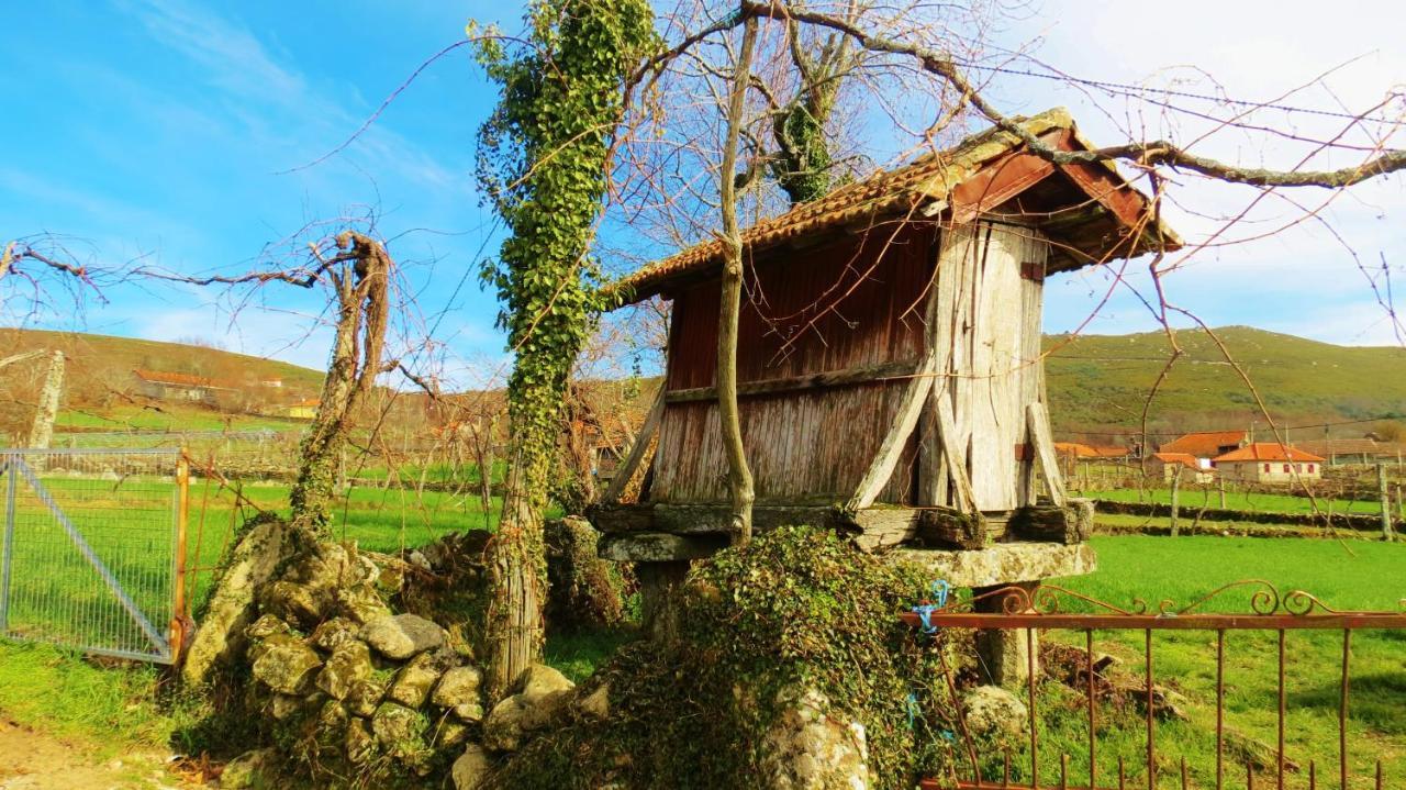 Boticas Parque Natur Houses 외부 사진